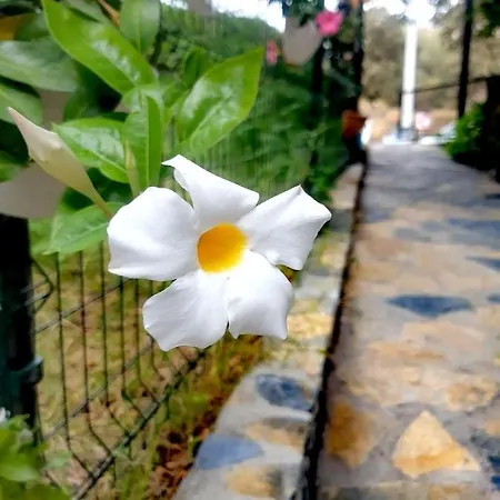 Hotel Benjamin Gümüşlük