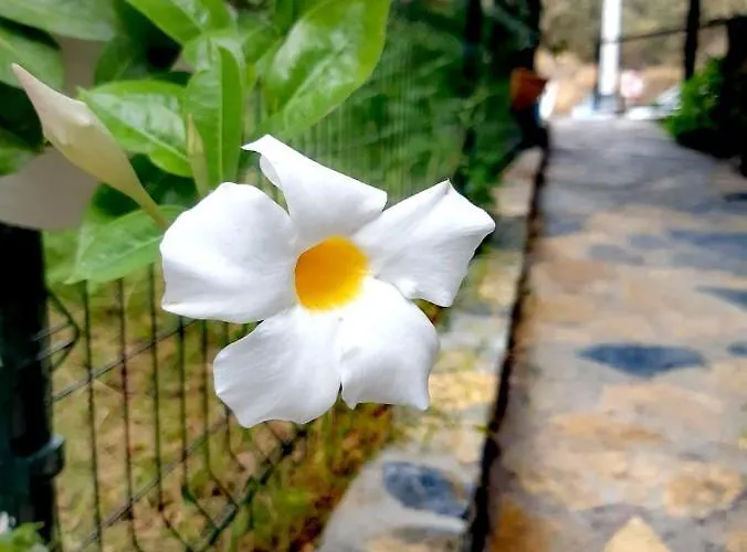 Otel Benjamin Gümüşlük