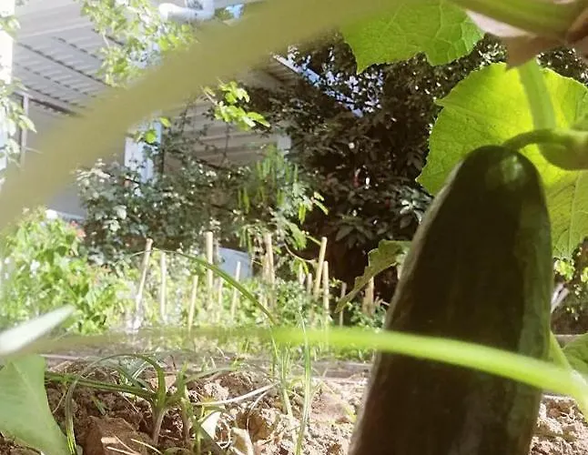 Benjamin Hotel Gümüşlük