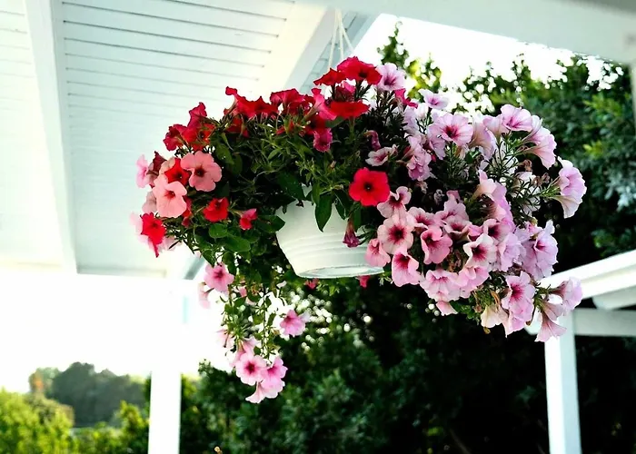 Benjamin 3* Gümüşlük