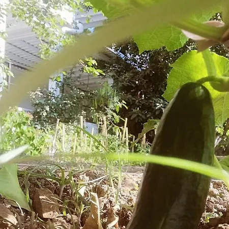 Benjamin Hotel Gümüşlük