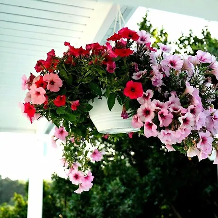 Benjamin 3* Gümüşlük